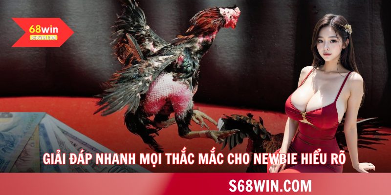 Giải đáp nhanh mọi thắc mắc cho newbie hiểu rõ